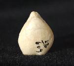 Zeilleria moisseievi DAGYS 1963 - Bild &copy; FossNet FossilienStore